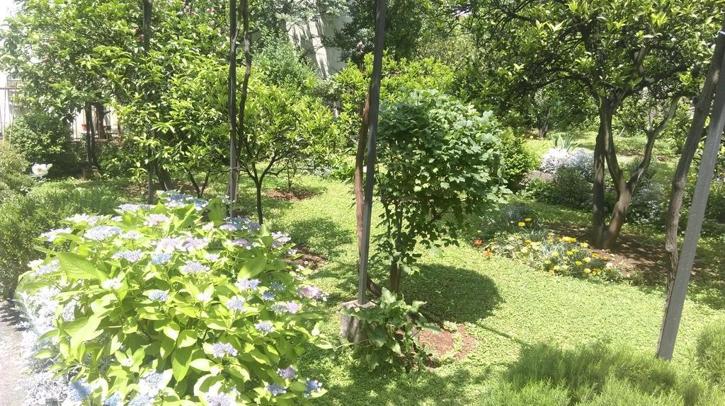 Apartment Ruzica Krstic 赫尔采格诺维 外观 照片